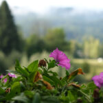 Urlaub am Bauernhof Liendl Keutschach